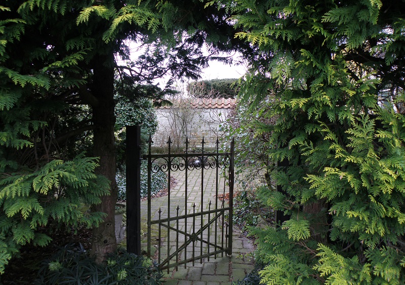 Svart metallgrind vid buskage