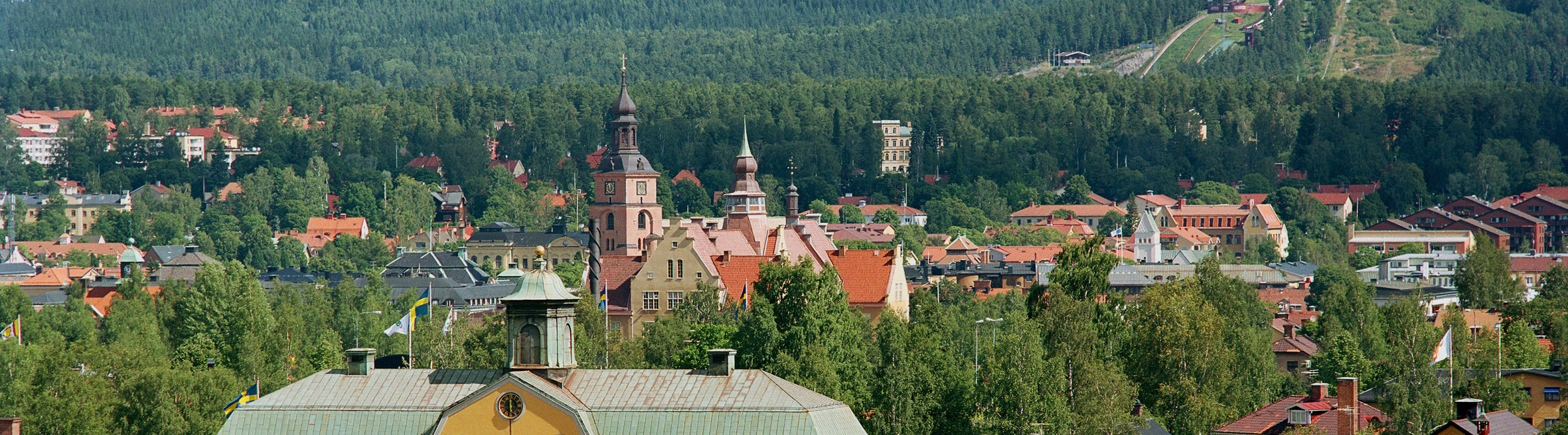 Taktoppar och träd i Falun
