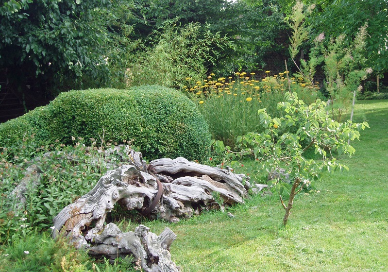 Trädgård i grönska med stock
