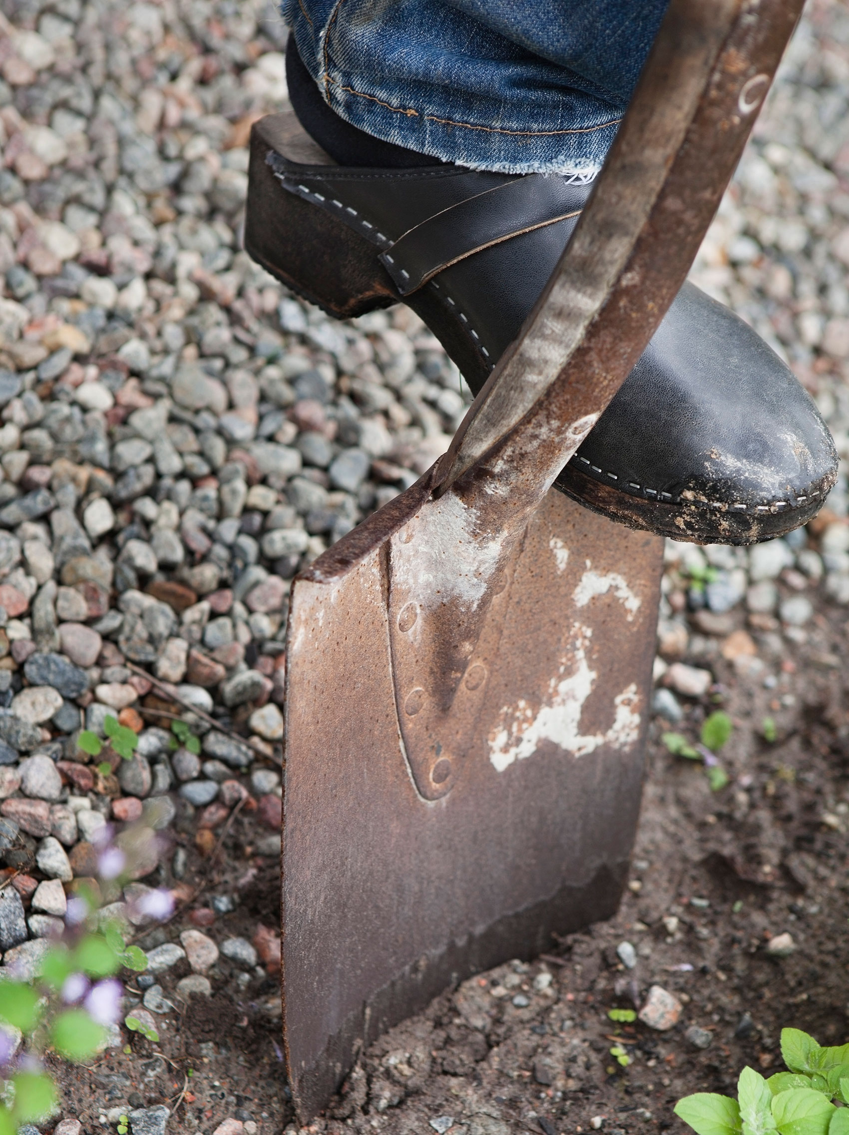 Fot på spade ner i jorden