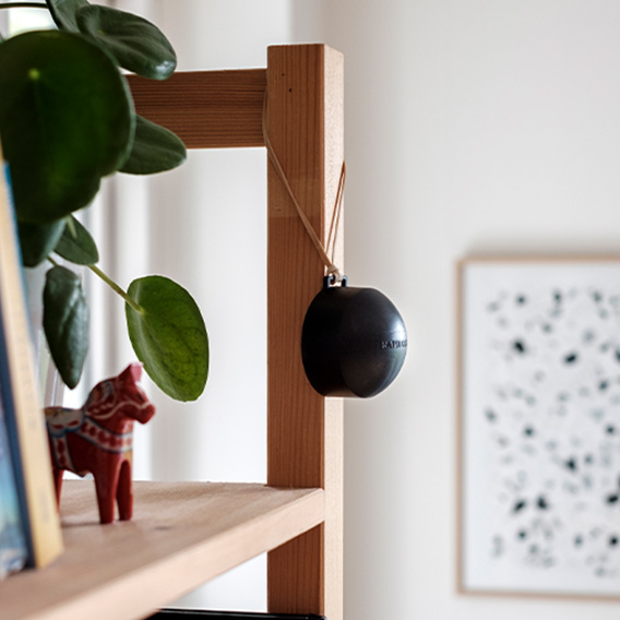 Radondosa som hänger vid en hylla med böcker